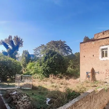 アパート Tra I Giardini Della Scalinata Di San Gennaro